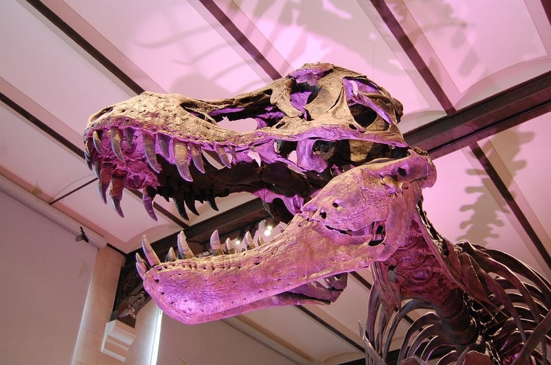 Prehistoric Dinosaurs